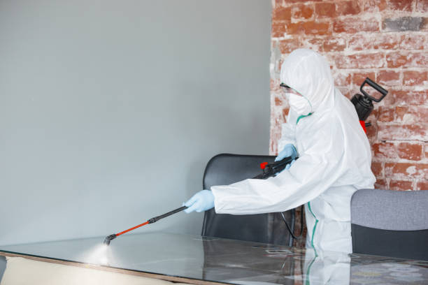 Best Mold Odor Removal Services  in Wilsons Mills, NC